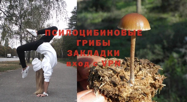 спайс Алзамай