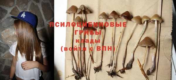 спайс Алзамай